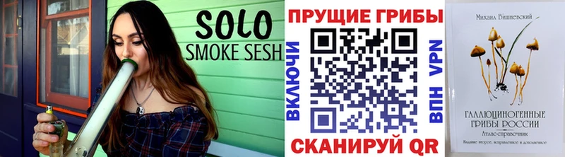 Псилоцибиновые грибы мухоморы  ссылка на мегу   Балашов  даркнет сайт 